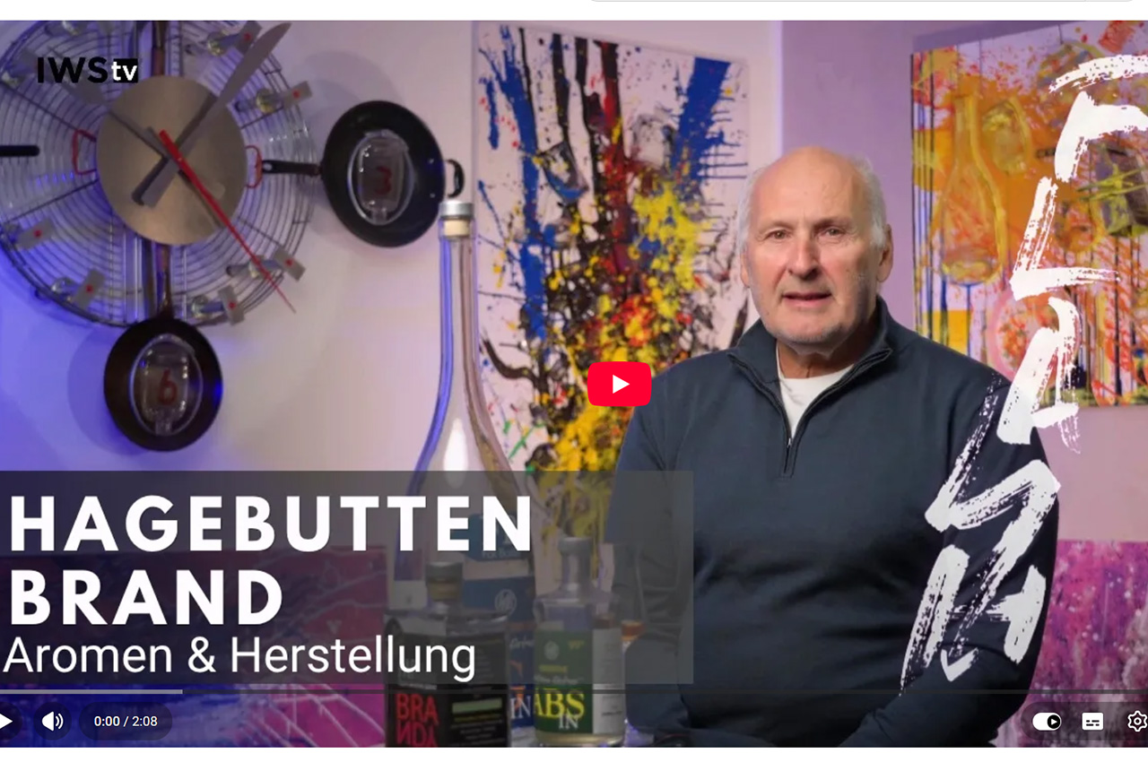 Hagebutten-Brand: Das seltene Destillat für Spezialisten – Herstellung & Aromen | World-Spirits Fibel