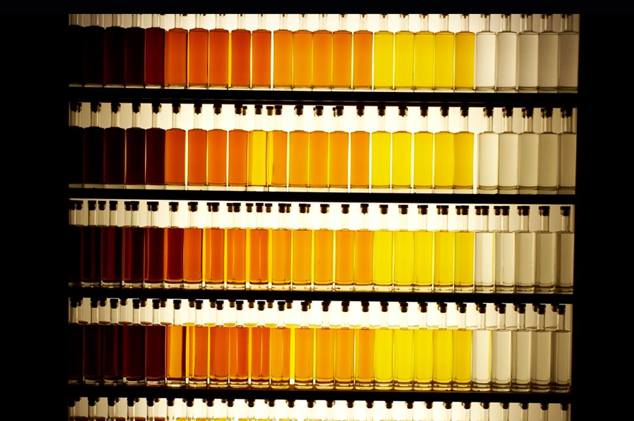 Cognac erklärt – die Unterschiede zu Armagnac einfach erklärt