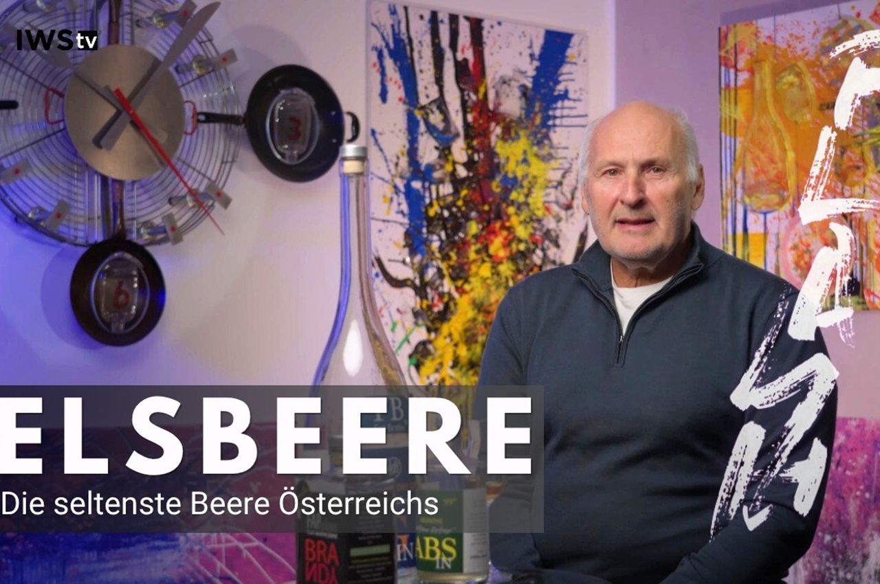 Elsbeere Schnaps: seltenes Obstbrand-Aroma aus Österreich